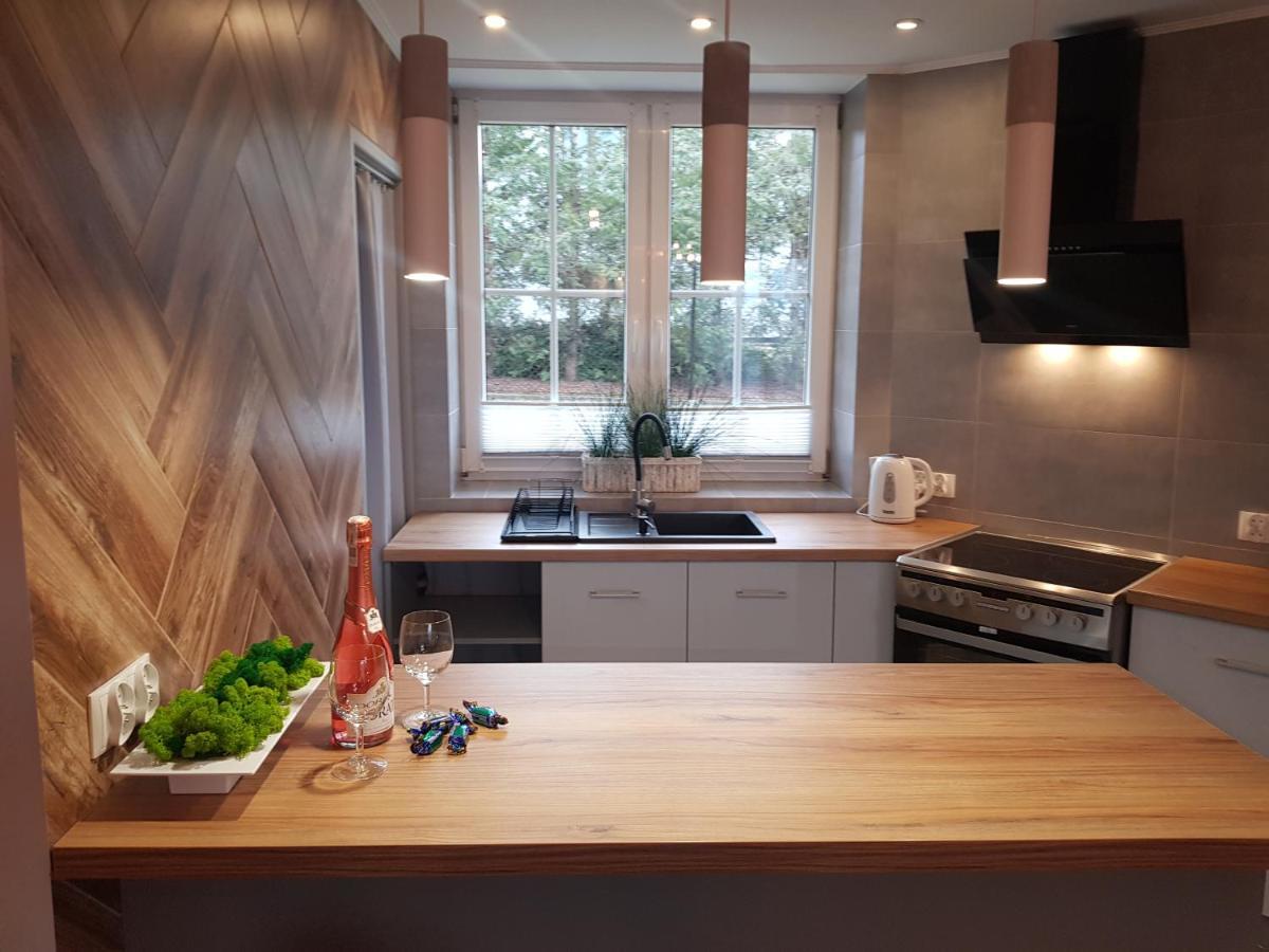 Apartamenty Paszkowka Pietrzykowice  Eksteriør billede