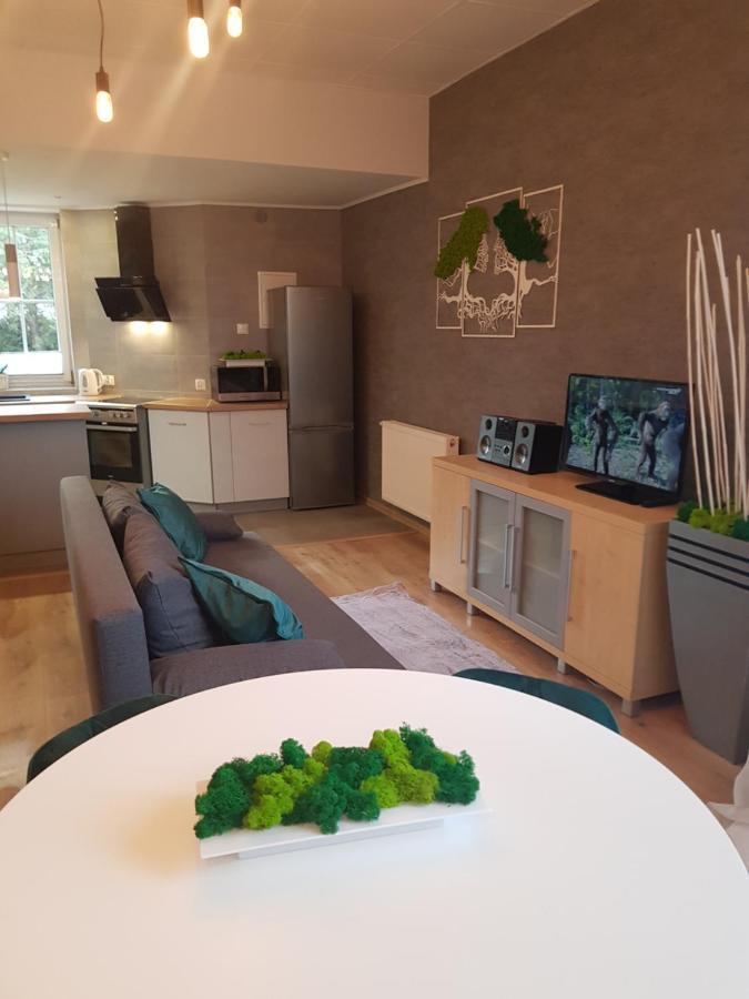 Apartamenty Paszkowka Pietrzykowice  Eksteriør billede